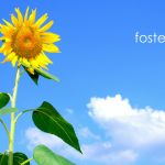 Use The Summer To Prepare Your Home For Sale