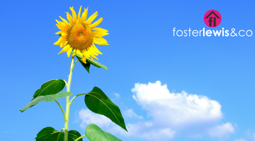 Use The Summer To Prepare Your Home For Sale