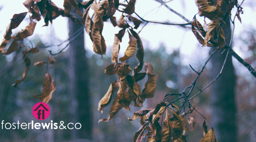 Tips for moving house in Autumn
