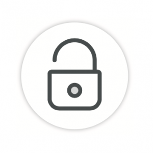 SECURITY OF SALE auction security