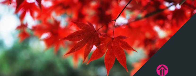 Selling your home in Autumn