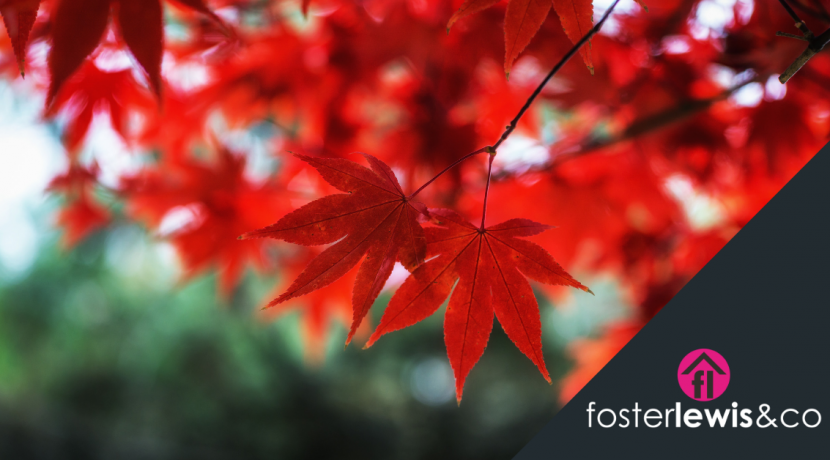 Selling your home in Autumn